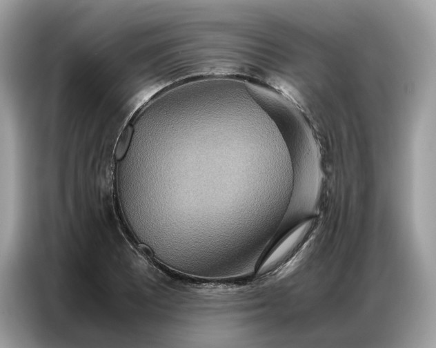 X0000086791081200704271825