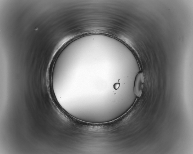 X0000086791082200704271825