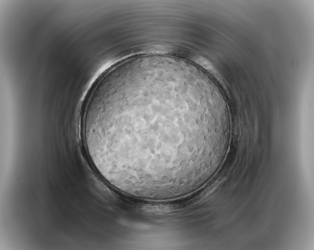 X0000086791083200704271825