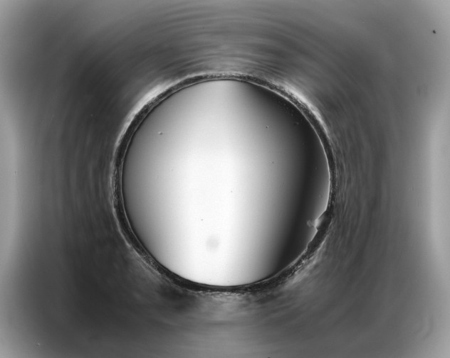 X0000086791085200704271825