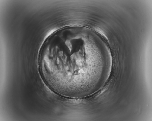X0000086791087200704271825