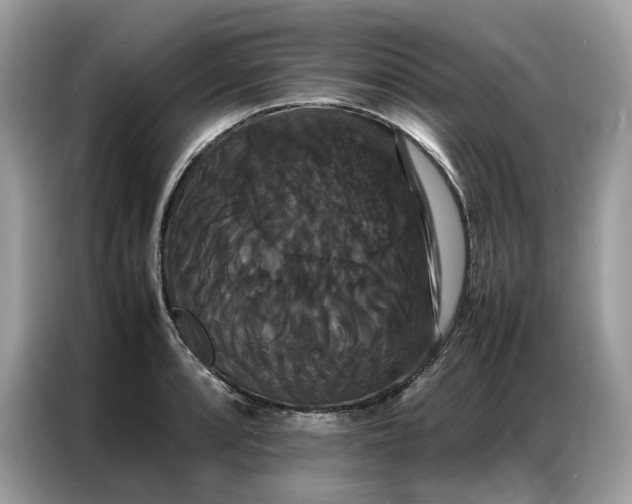 X0000086791088200704271825