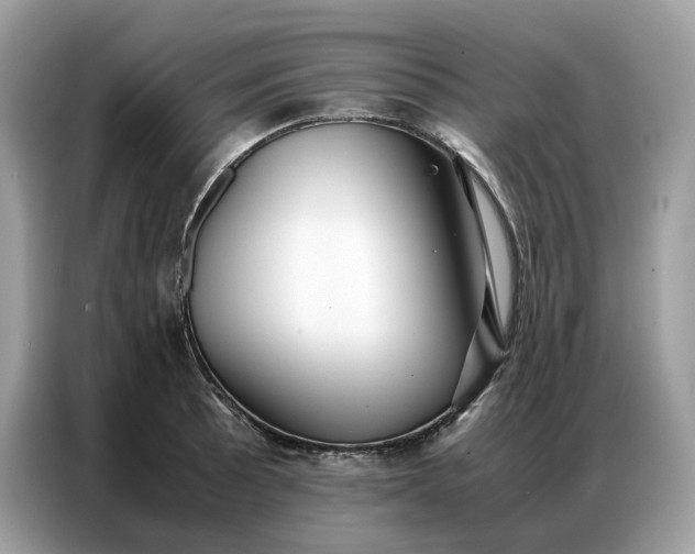 X0000086791089200704271825