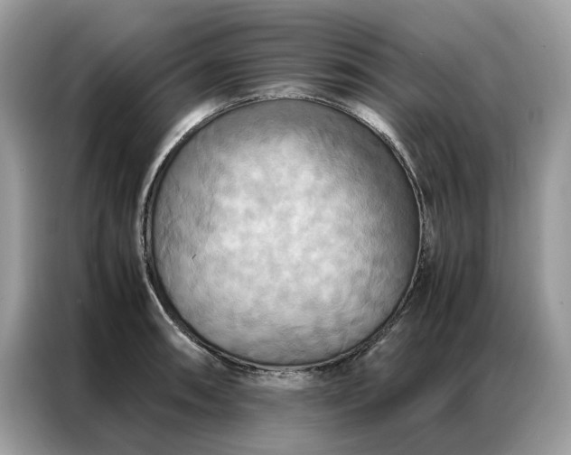 X0000086791090200704271825