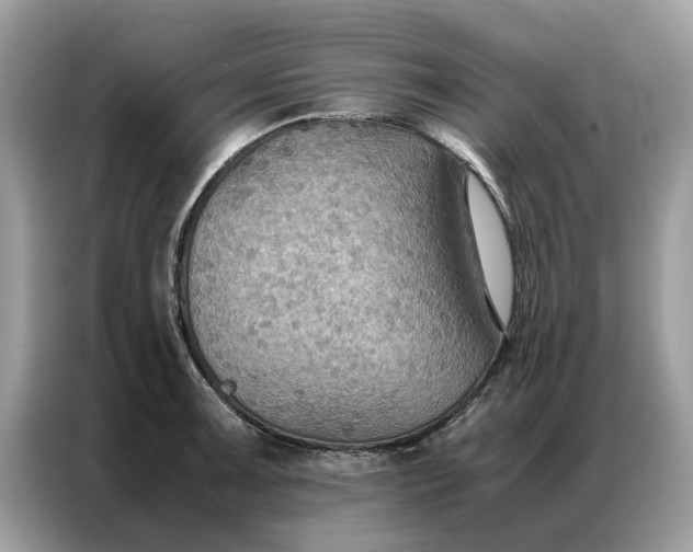 X0000086791091200704271825