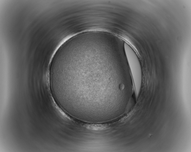 X0000086791092200704271825