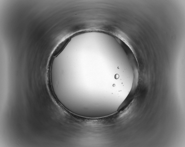 X0000086791093200704271825