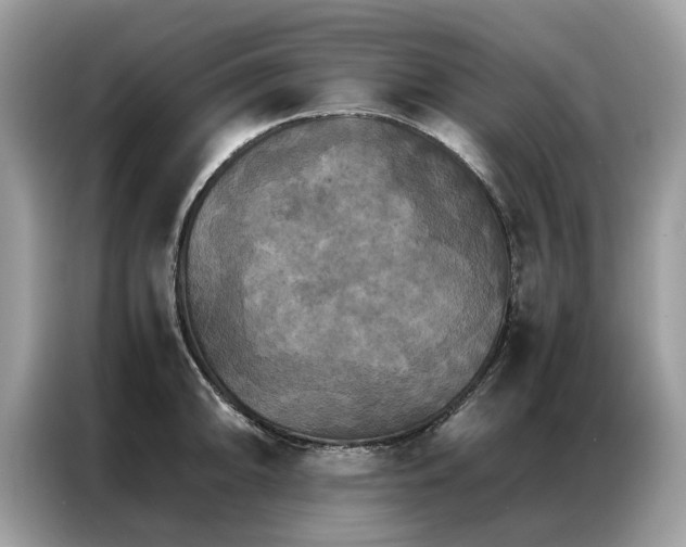 X0000086791094200704271825