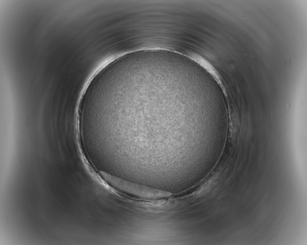 X0000086791096200704271825