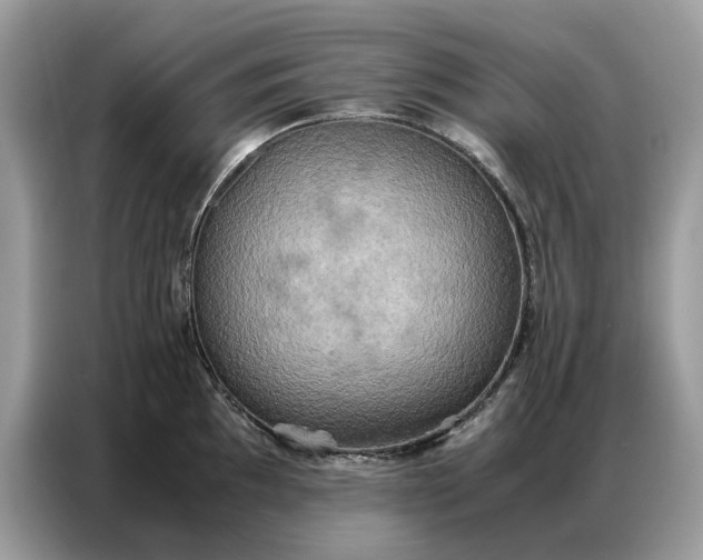 X0000086791097200704271825