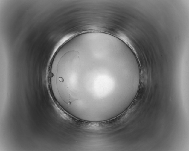 X0000086791098200704271825