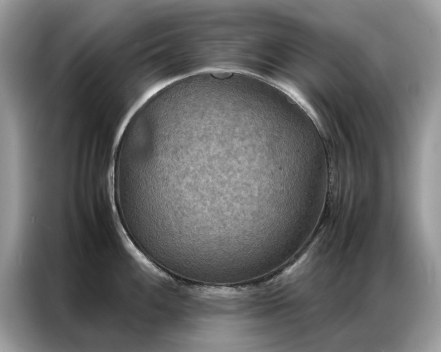 X0000086791100200704271825