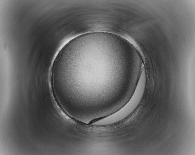 X0000086791102200704271825