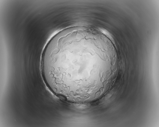 X0000086791103200704271825
