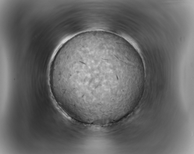 X0000086791104200704271825