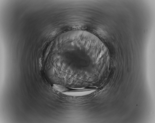 X0000086791106200704271825