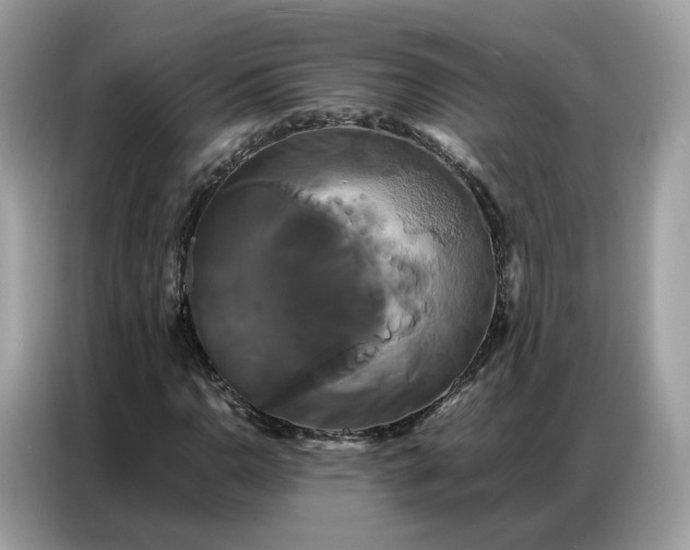X0000086791110200704271825