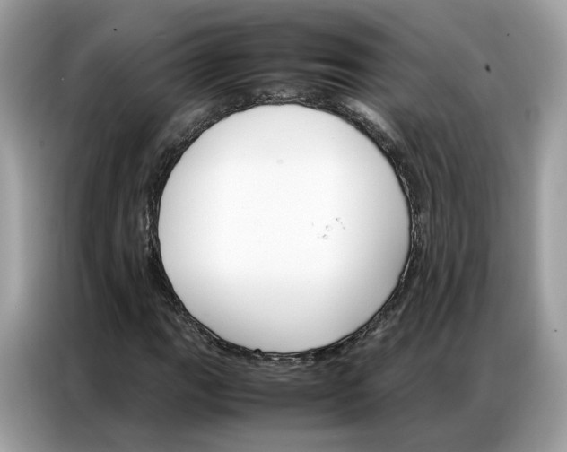 X0000086791111200704271825