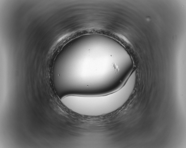 X0000086791112200704271825