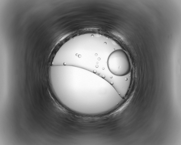X0000086791113200704271825
