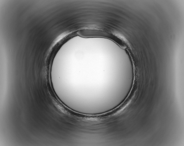 X0000086791114200704271825