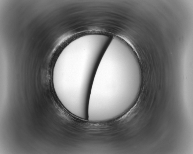 X0000086791115200704271825