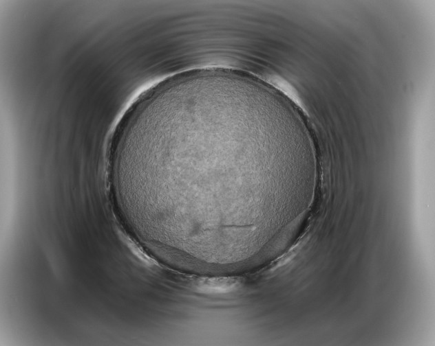 X0000086791116200704271825