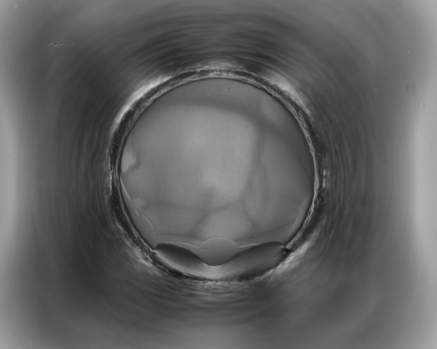 X0000086791117200704271825