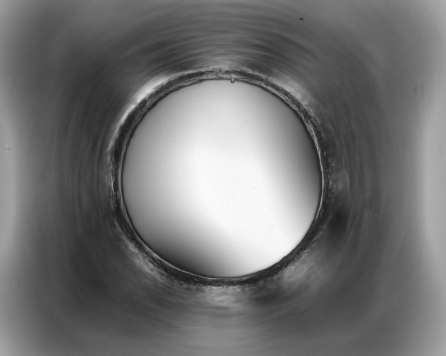 X0000086791118200704271825
