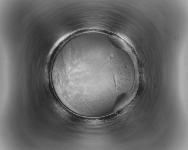 X0000086791120200704271825