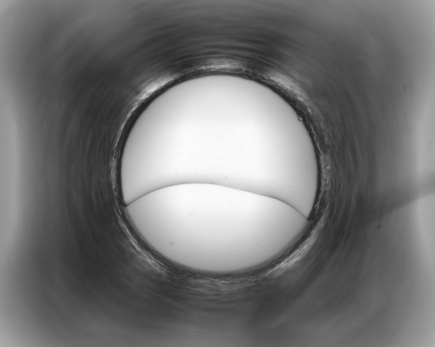 X0000086791121200704271825