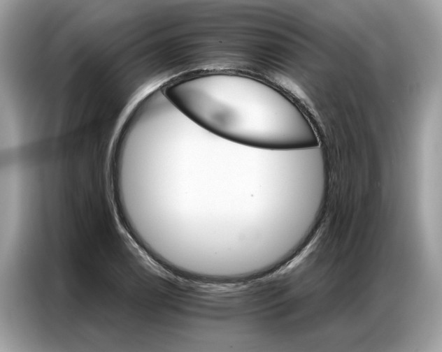 X0000086791122200704271825