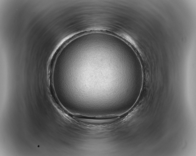 X0000086791124200704271825