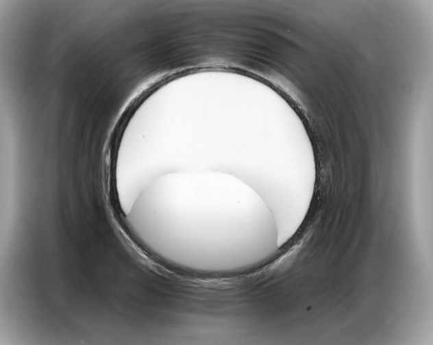 X0000086791126200704271825