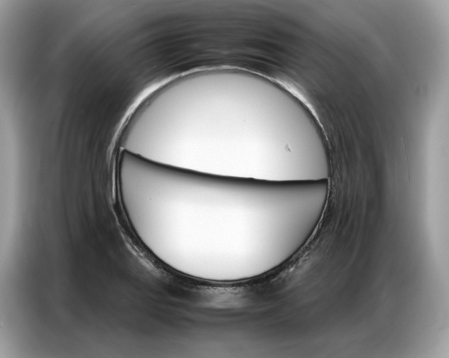 X0000086791127200704271825
