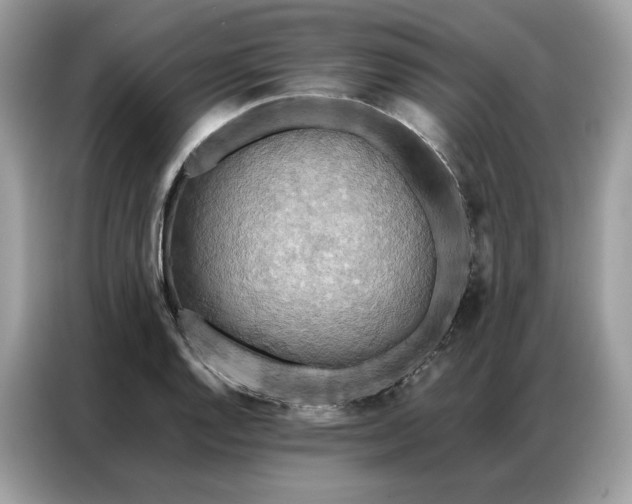 X0000086791128200704271825