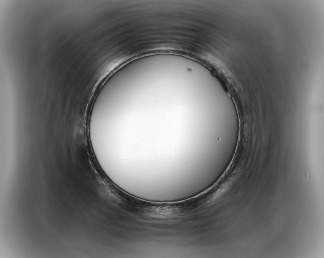 X0000086791129200704271825