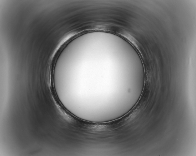 X0000086791131200704271825