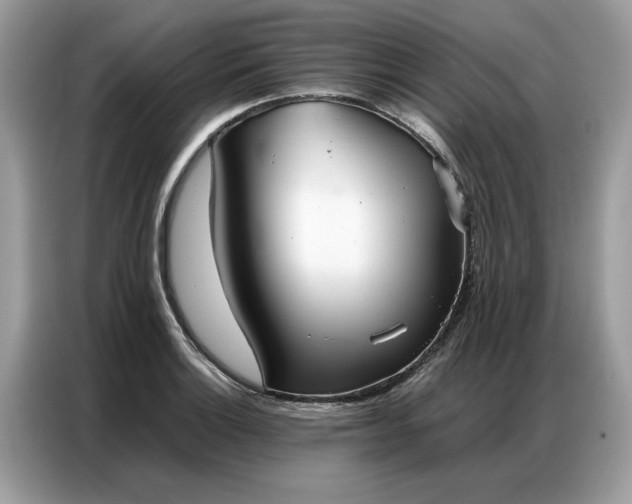 X0000086791132200704271825
