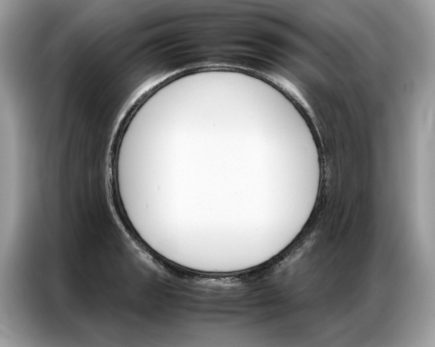 X0000086791133200704271825