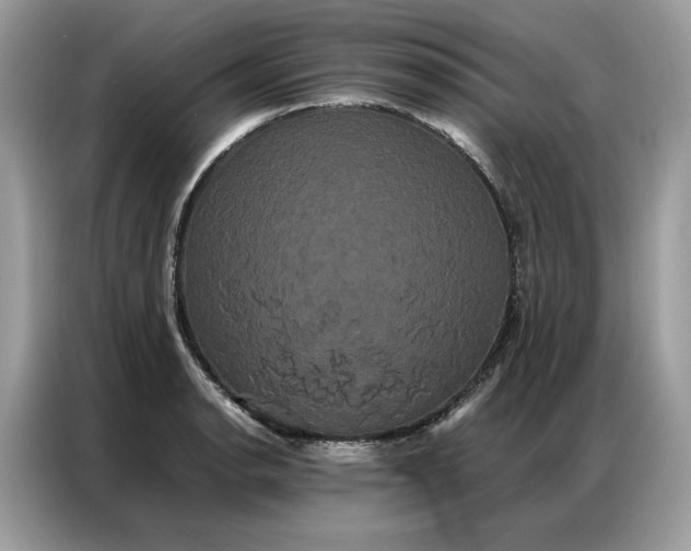 X0000086791134200704271825