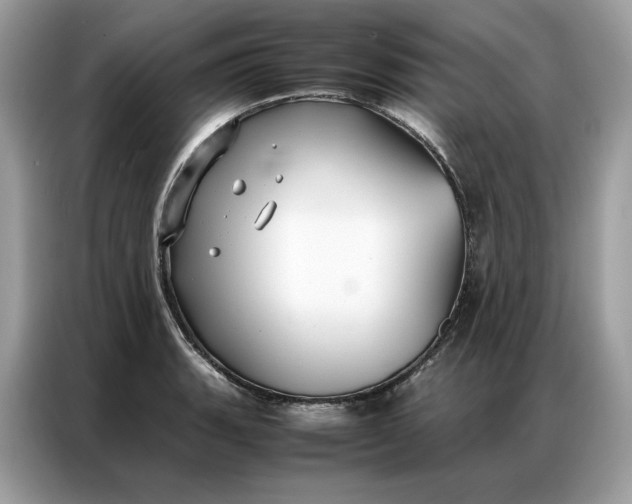 X0000086791135200704271825