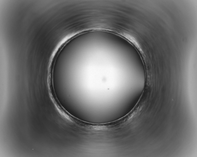 X0000086791136200704271825