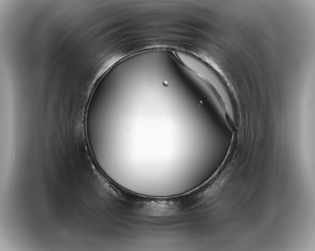 X0000086791137200704271825