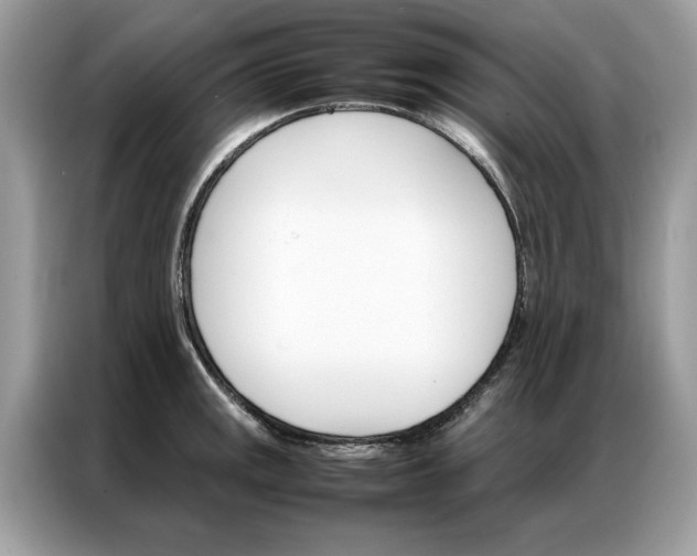 X0000086791141200704271825