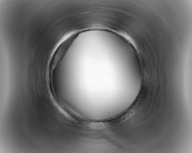 X0000086791142200704271825