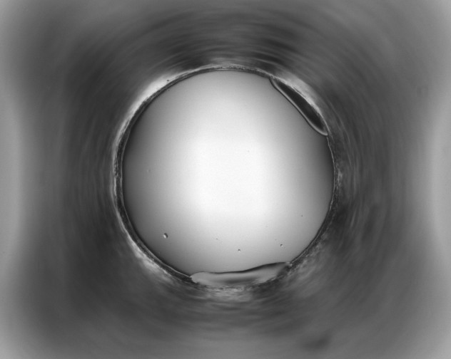 X0000086791143200704271825