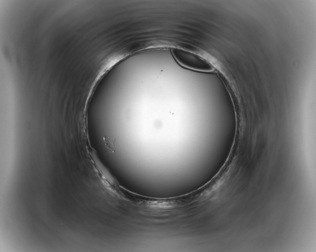 X0000086791145200704271825