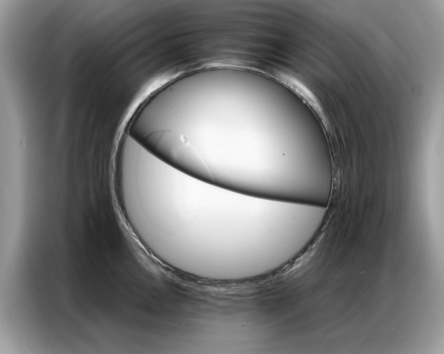 X0000086791146200704271825