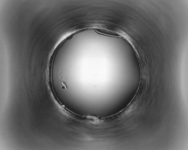 X0000086791147200704271825